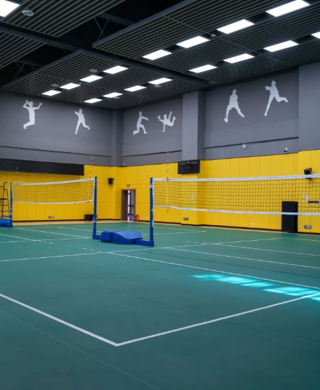 instalaciones deportivas palacio virigo